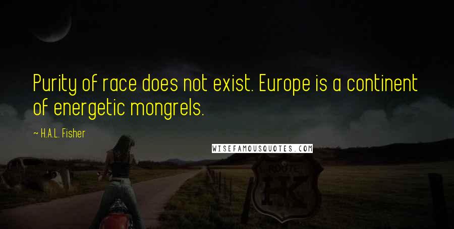H.A.L. Fisher Quotes: Purity of race does not exist. Europe is a continent of energetic mongrels.