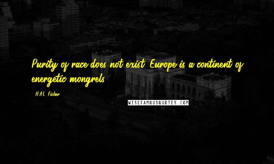 H.A.L. Fisher Quotes: Purity of race does not exist. Europe is a continent of energetic mongrels.