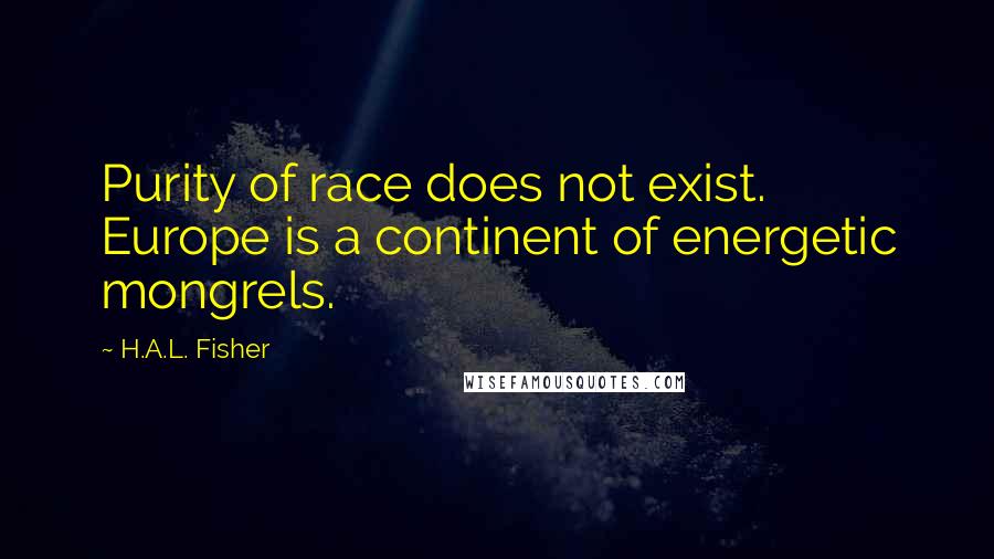 H.A.L. Fisher Quotes: Purity of race does not exist. Europe is a continent of energetic mongrels.