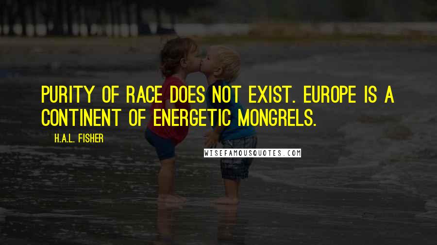 H.A.L. Fisher Quotes: Purity of race does not exist. Europe is a continent of energetic mongrels.