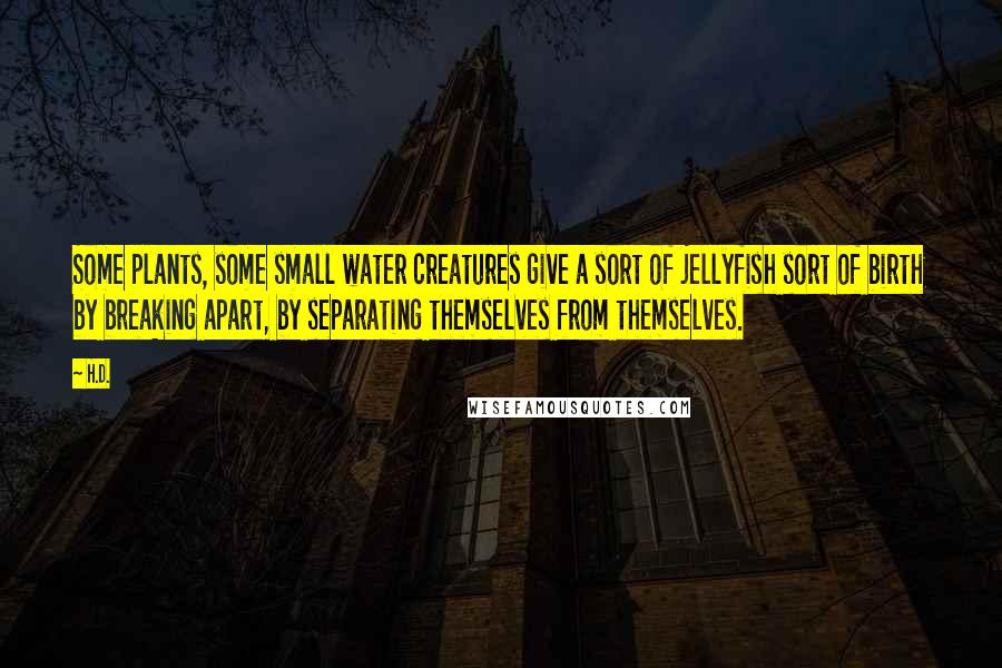 H.D. Quotes: Some plants, some small water creatures give a sort of jellyfish sort of birth by breaking apart, by separating themselves from themselves.