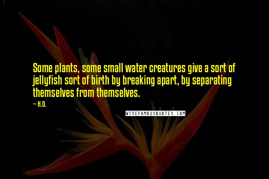 H.D. Quotes: Some plants, some small water creatures give a sort of jellyfish sort of birth by breaking apart, by separating themselves from themselves.