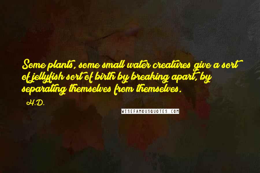 H.D. Quotes: Some plants, some small water creatures give a sort of jellyfish sort of birth by breaking apart, by separating themselves from themselves.