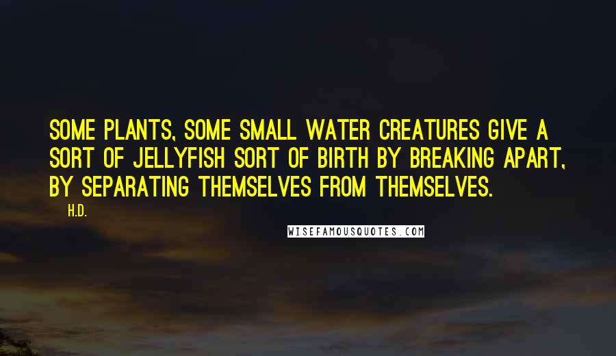 H.D. Quotes: Some plants, some small water creatures give a sort of jellyfish sort of birth by breaking apart, by separating themselves from themselves.