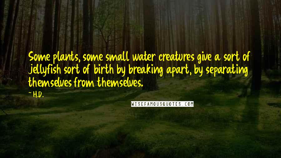 H.D. Quotes: Some plants, some small water creatures give a sort of jellyfish sort of birth by breaking apart, by separating themselves from themselves.