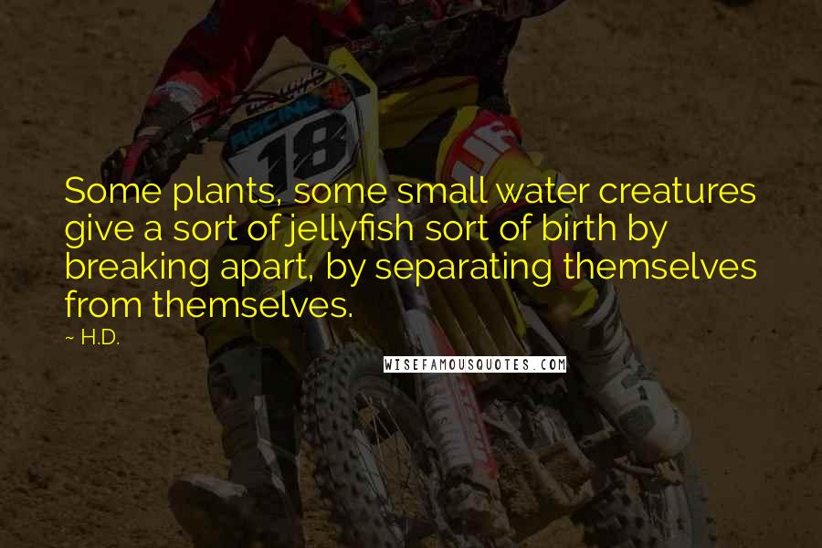 H.D. Quotes: Some plants, some small water creatures give a sort of jellyfish sort of birth by breaking apart, by separating themselves from themselves.