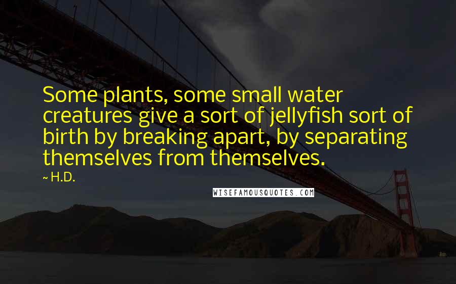 H.D. Quotes: Some plants, some small water creatures give a sort of jellyfish sort of birth by breaking apart, by separating themselves from themselves.