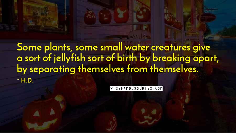 H.D. Quotes: Some plants, some small water creatures give a sort of jellyfish sort of birth by breaking apart, by separating themselves from themselves.