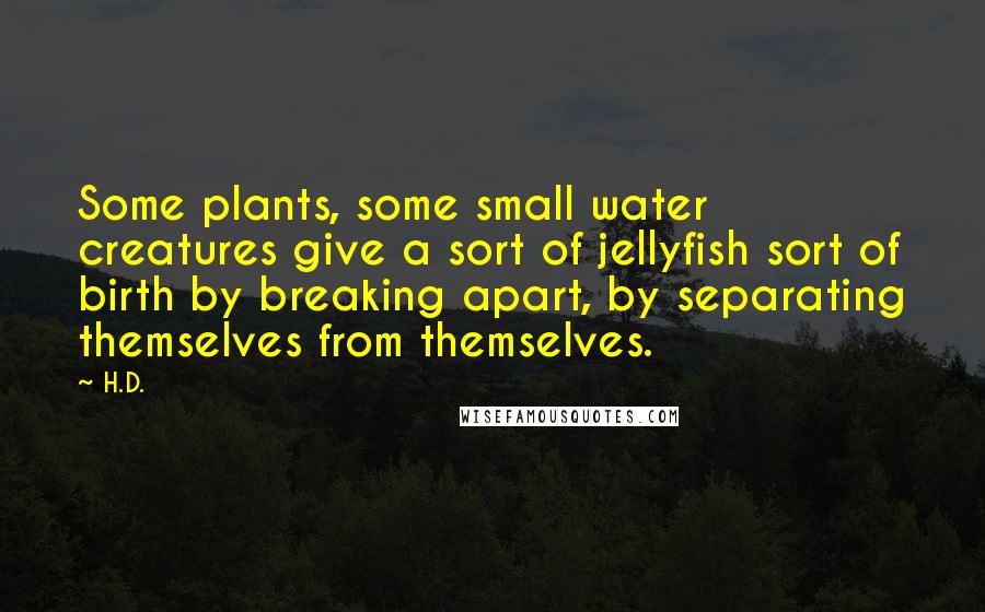 H.D. Quotes: Some plants, some small water creatures give a sort of jellyfish sort of birth by breaking apart, by separating themselves from themselves.