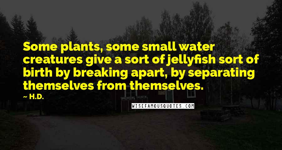 H.D. Quotes: Some plants, some small water creatures give a sort of jellyfish sort of birth by breaking apart, by separating themselves from themselves.