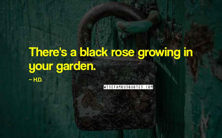H.D. Quotes: There's a black rose growing in your garden.