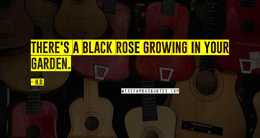 H.D. Quotes: There's a black rose growing in your garden.