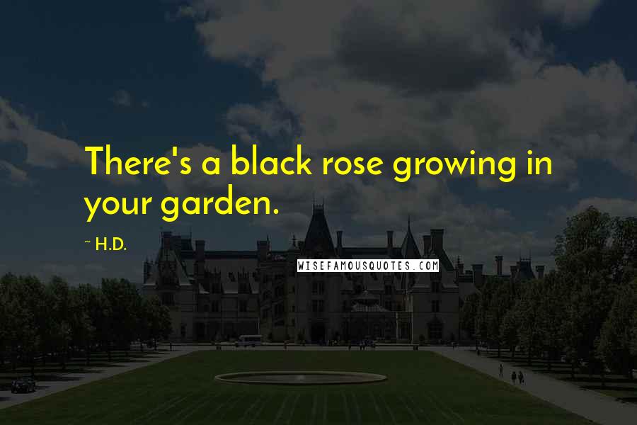 H.D. Quotes: There's a black rose growing in your garden.