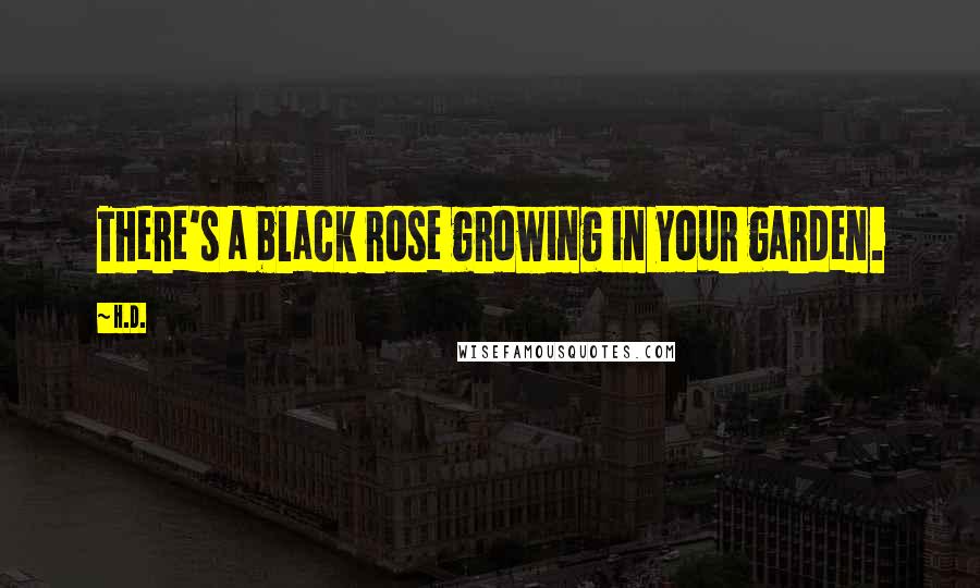 H.D. Quotes: There's a black rose growing in your garden.