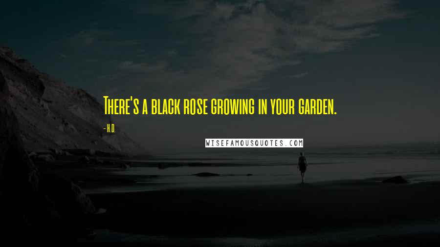 H.D. Quotes: There's a black rose growing in your garden.