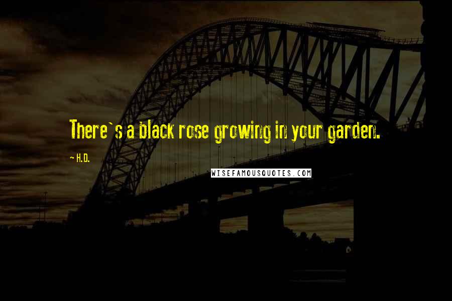 H.D. Quotes: There's a black rose growing in your garden.