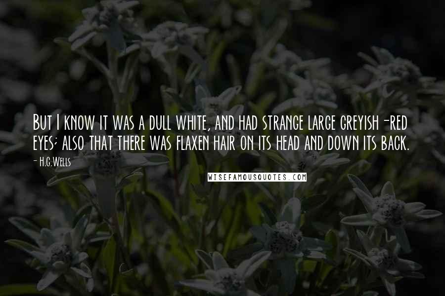 H.G.Wells Quotes: But I know it was a dull white, and had strange large greyish-red eyes; also that there was flaxen hair on its head and down its back.