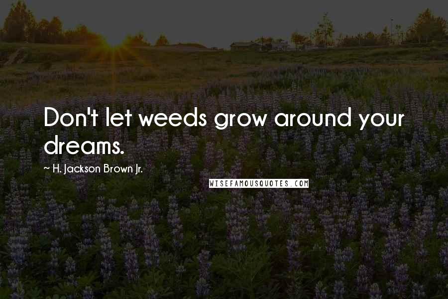 H. Jackson Brown Jr. Quotes: Don't let weeds grow around your dreams.