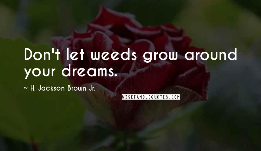 H. Jackson Brown Jr. Quotes: Don't let weeds grow around your dreams.