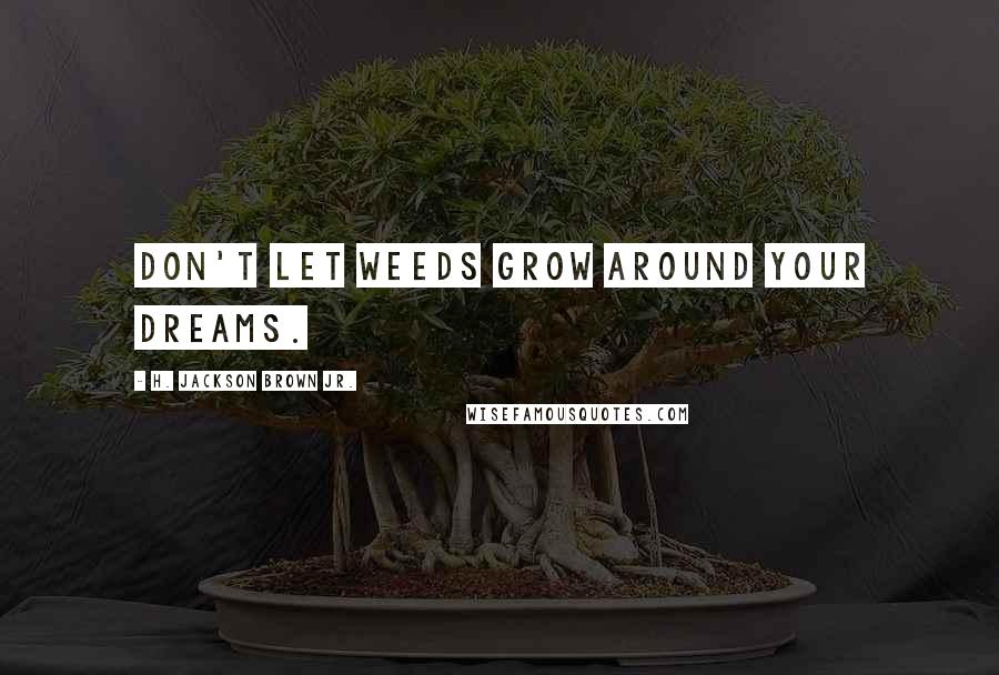 H. Jackson Brown Jr. Quotes: Don't let weeds grow around your dreams.