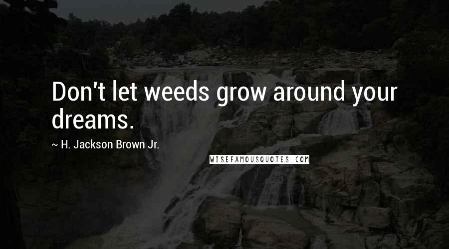 H. Jackson Brown Jr. Quotes: Don't let weeds grow around your dreams.