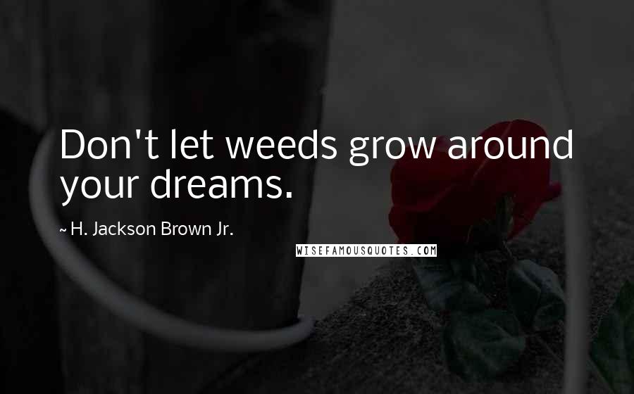 H. Jackson Brown Jr. Quotes: Don't let weeds grow around your dreams.