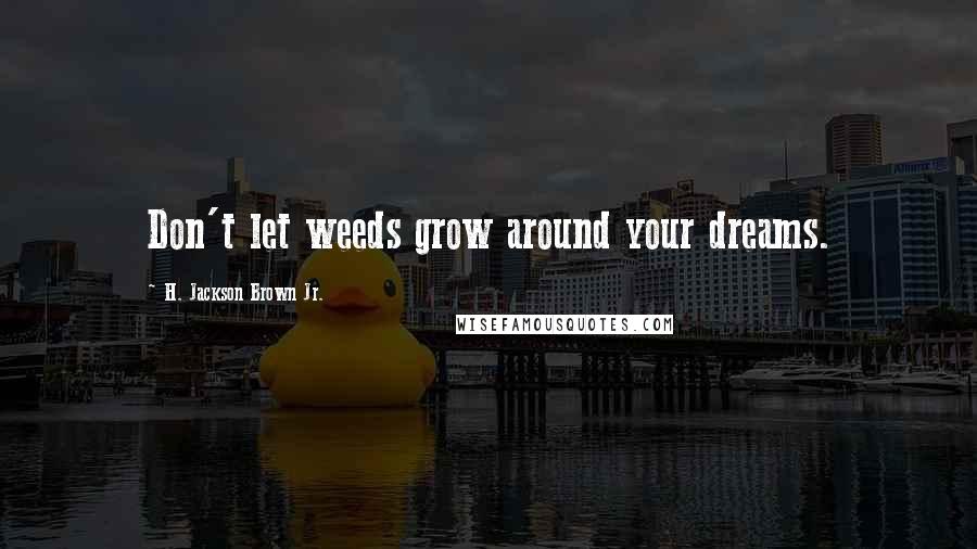 H. Jackson Brown Jr. Quotes: Don't let weeds grow around your dreams.