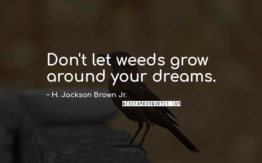 H. Jackson Brown Jr. Quotes: Don't let weeds grow around your dreams.