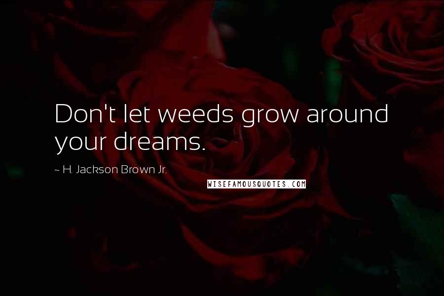 H. Jackson Brown Jr. Quotes: Don't let weeds grow around your dreams.