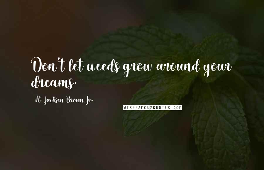 H. Jackson Brown Jr. Quotes: Don't let weeds grow around your dreams.