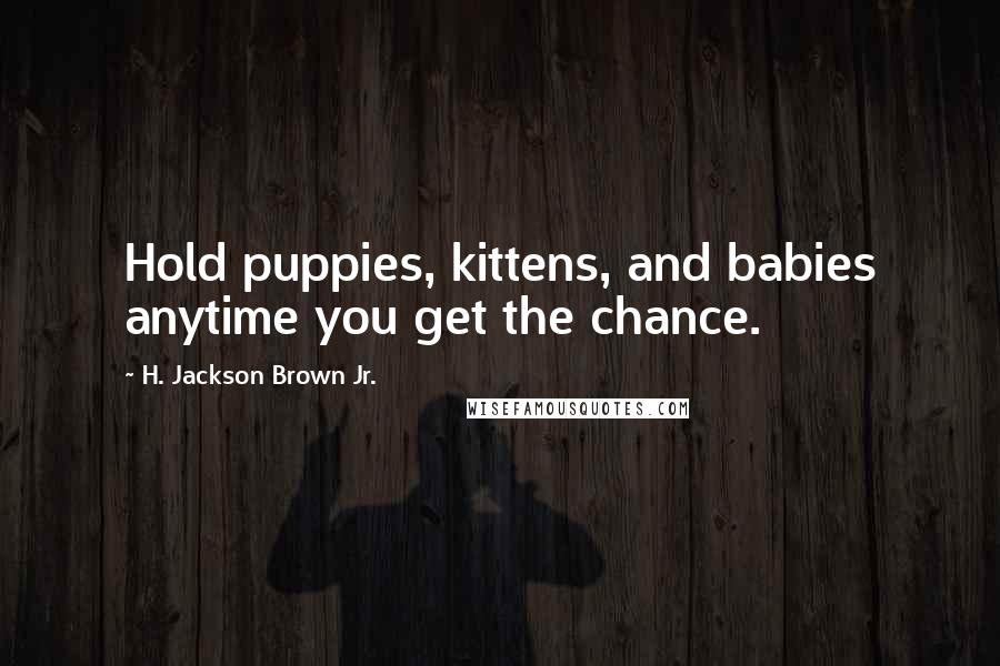 H. Jackson Brown Jr. Quotes: Hold puppies, kittens, and babies anytime you get the chance.