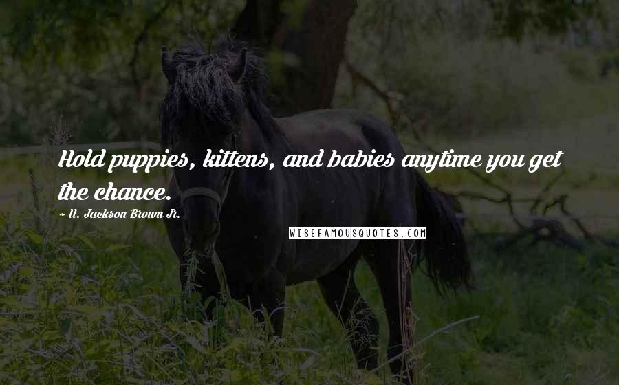 H. Jackson Brown Jr. Quotes: Hold puppies, kittens, and babies anytime you get the chance.