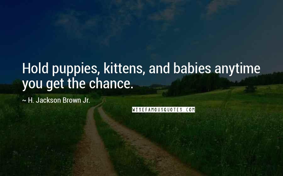 H. Jackson Brown Jr. Quotes: Hold puppies, kittens, and babies anytime you get the chance.