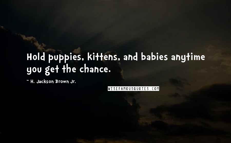 H. Jackson Brown Jr. Quotes: Hold puppies, kittens, and babies anytime you get the chance.