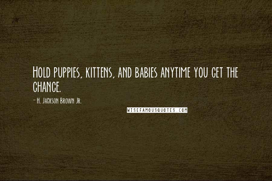 H. Jackson Brown Jr. Quotes: Hold puppies, kittens, and babies anytime you get the chance.