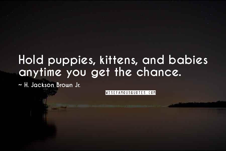 H. Jackson Brown Jr. Quotes: Hold puppies, kittens, and babies anytime you get the chance.