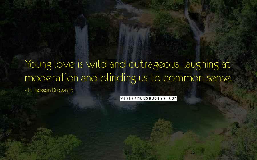H. Jackson Brown Jr. Quotes: Young love is wild and outrageous, laughing at moderation and blinding us to common sense.