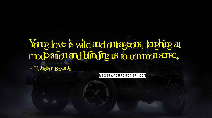 H. Jackson Brown Jr. Quotes: Young love is wild and outrageous, laughing at moderation and blinding us to common sense.