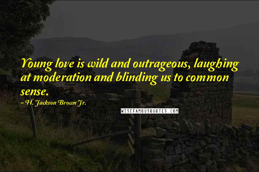 H. Jackson Brown Jr. Quotes: Young love is wild and outrageous, laughing at moderation and blinding us to common sense.