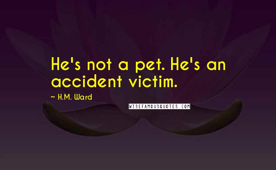 H.M. Ward Quotes: He's not a pet. He's an accident victim.