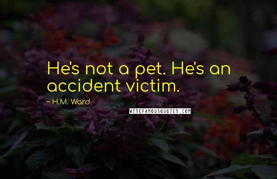 H.M. Ward Quotes: He's not a pet. He's an accident victim.