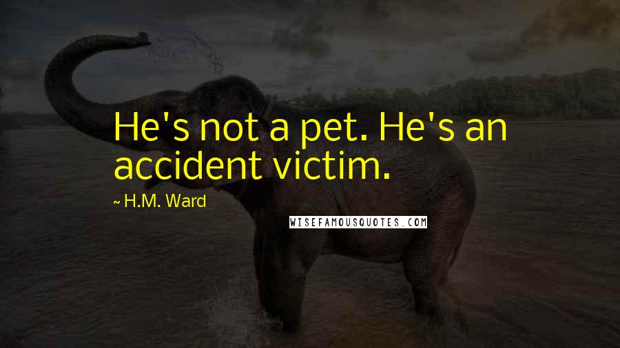 H.M. Ward Quotes: He's not a pet. He's an accident victim.