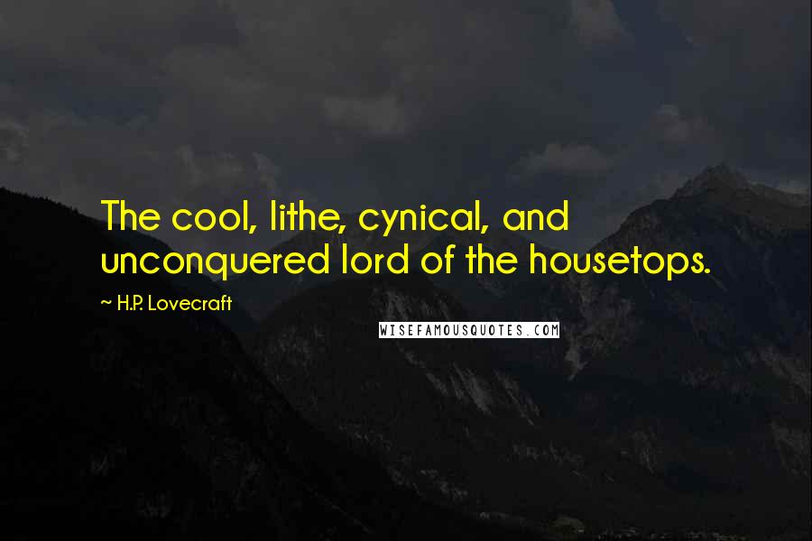 H.P. Lovecraft Quotes: The cool, lithe, cynical, and unconquered lord of the housetops.