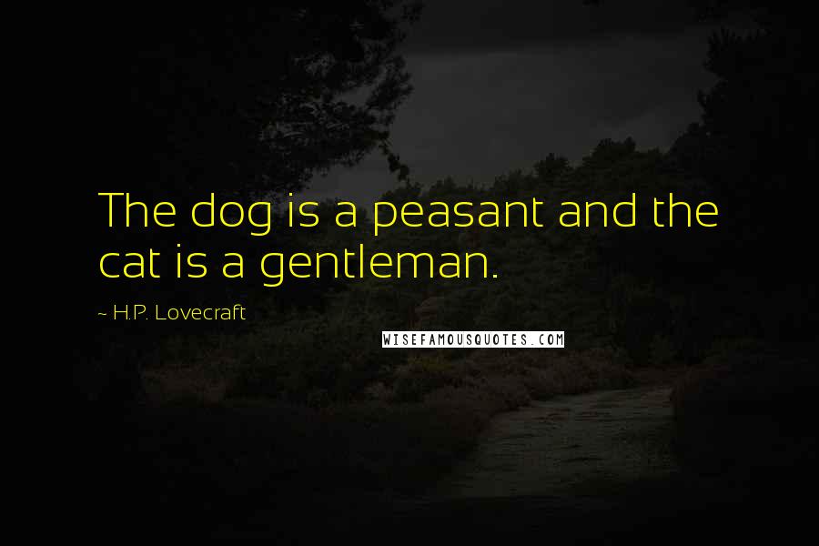 H.P. Lovecraft Quotes: The dog is a peasant and the cat is a gentleman.