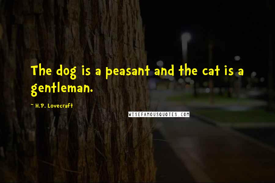 H.P. Lovecraft Quotes: The dog is a peasant and the cat is a gentleman.