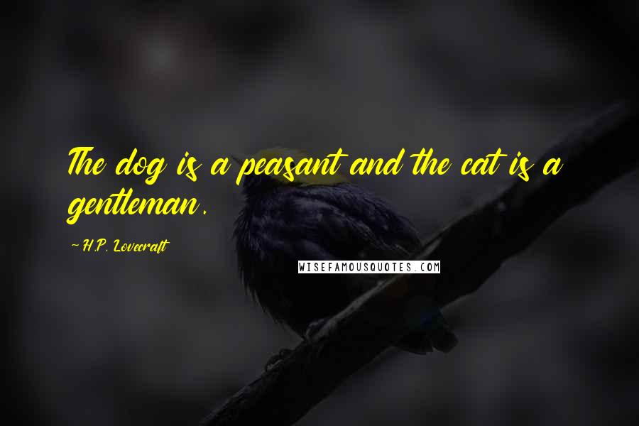 H.P. Lovecraft Quotes: The dog is a peasant and the cat is a gentleman.
