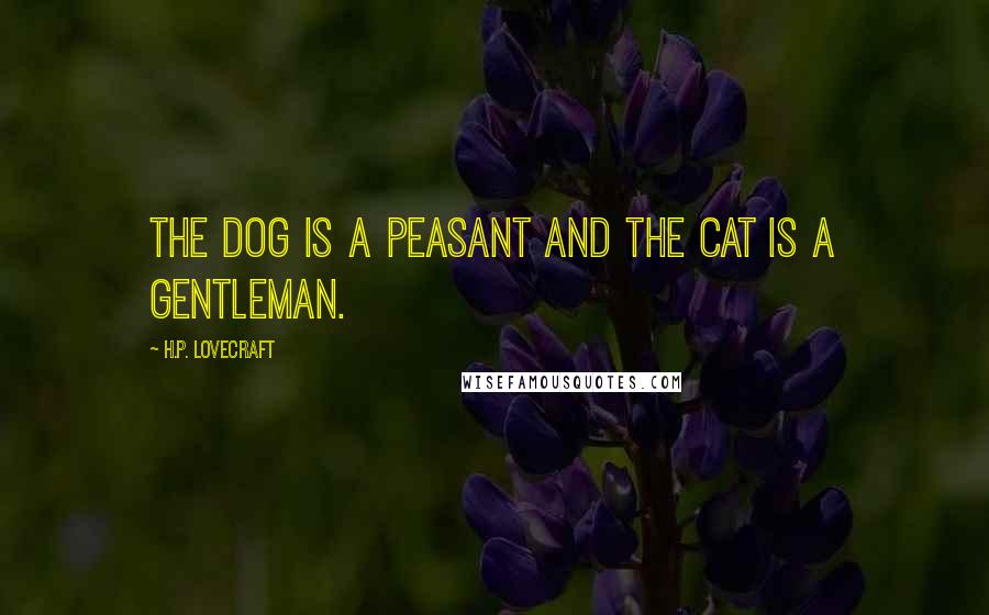 H.P. Lovecraft Quotes: The dog is a peasant and the cat is a gentleman.