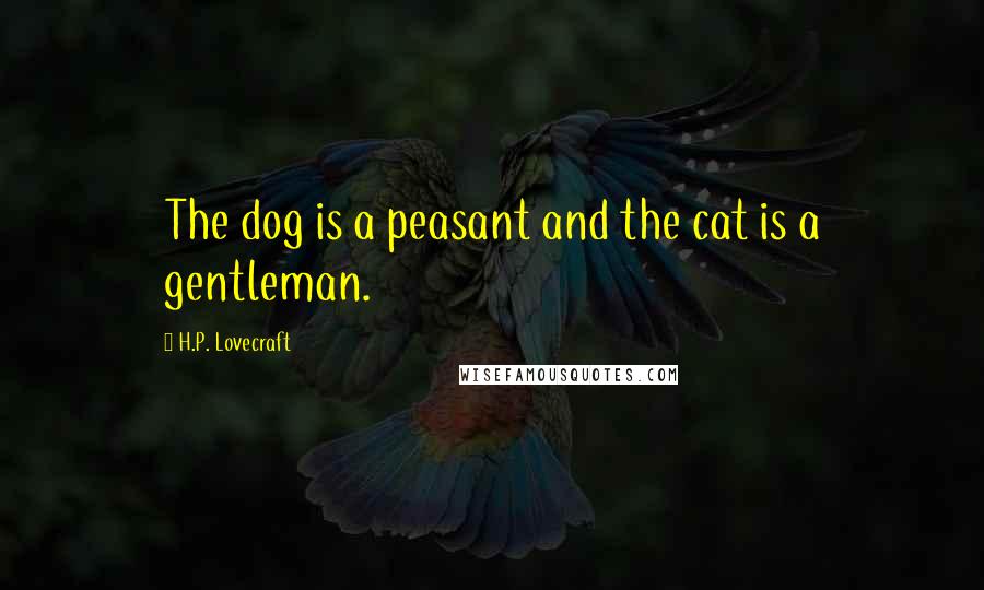 H.P. Lovecraft Quotes: The dog is a peasant and the cat is a gentleman.