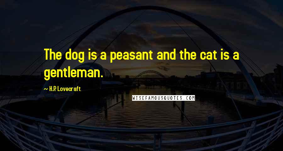 H.P. Lovecraft Quotes: The dog is a peasant and the cat is a gentleman.