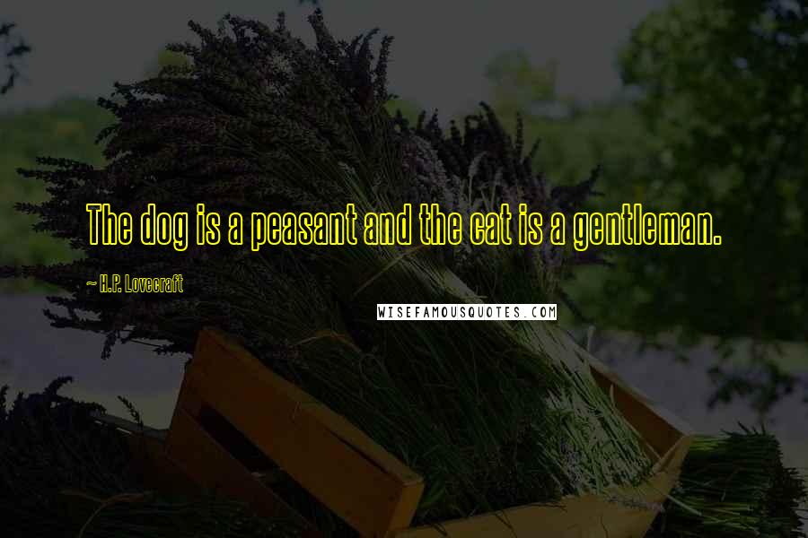 H.P. Lovecraft Quotes: The dog is a peasant and the cat is a gentleman.